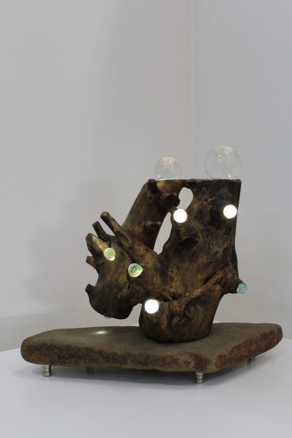 Affinità (2)
