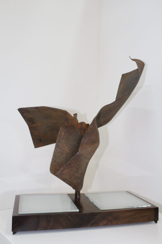 Anima ferita (1)