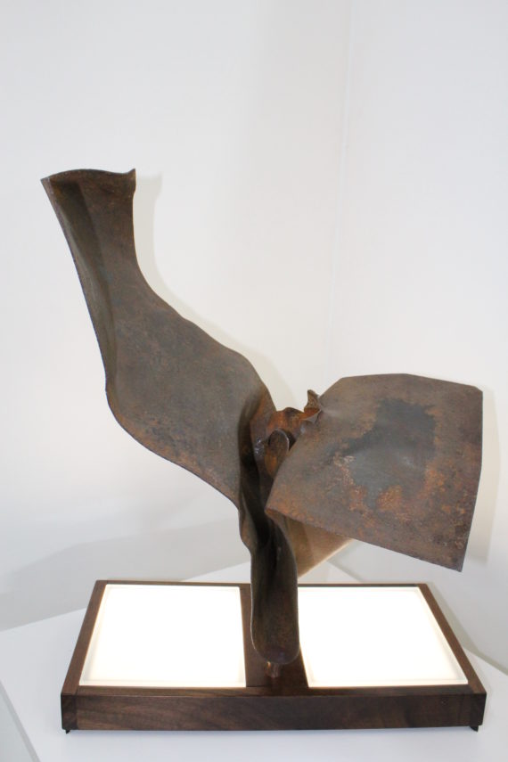 Anima ferita (2)