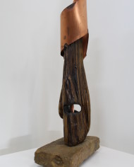 Cavaliere nella luce (1)