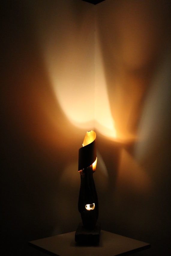 Cavaliere nella luce (4)