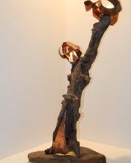 Fronde (1)
