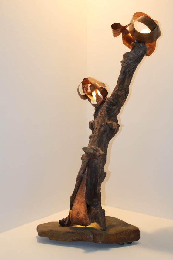 Fronde (1)