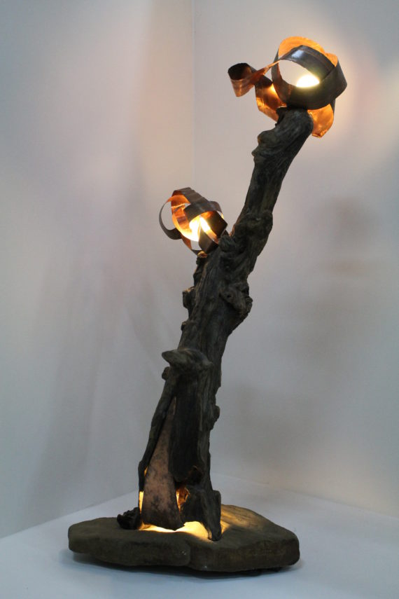 Fronde (2)