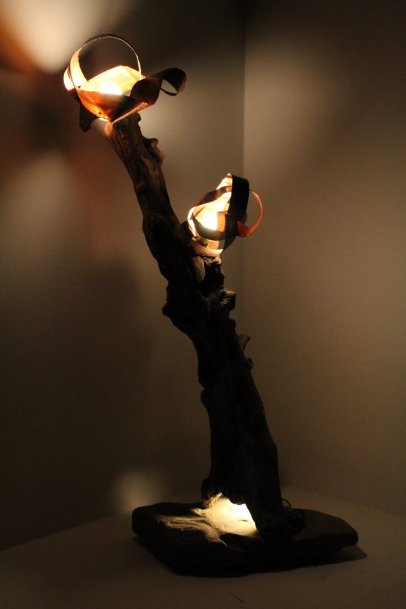 Fronde (4)