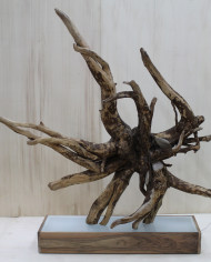 Galassia (1)