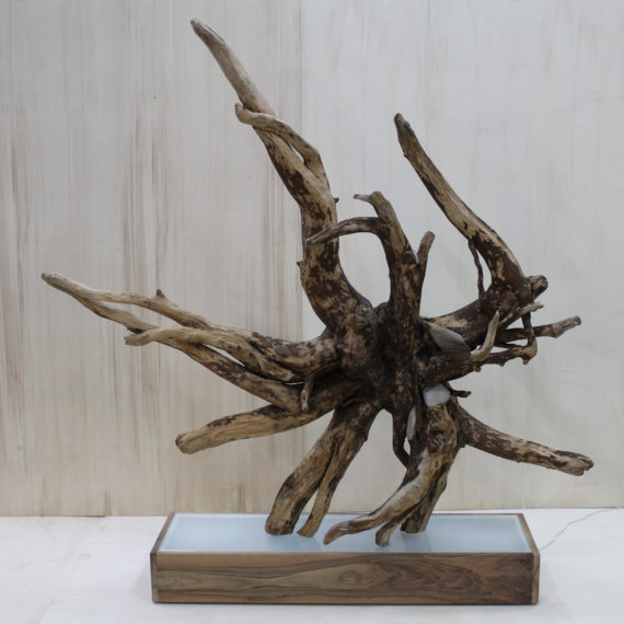 Galassia (1)