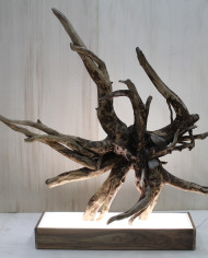 Galassia (2)