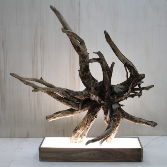 Galassia (2)