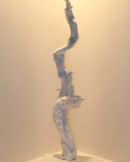 L’essenza dell’anima (1)