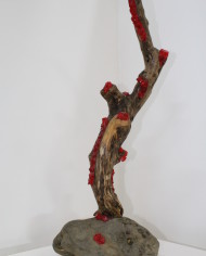 Linfa di corallo (1)