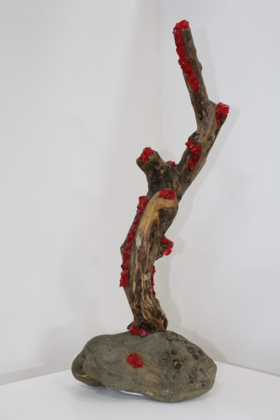 Linfa di corallo (1)