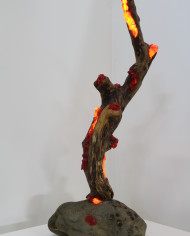 Linfa di corallo (2)