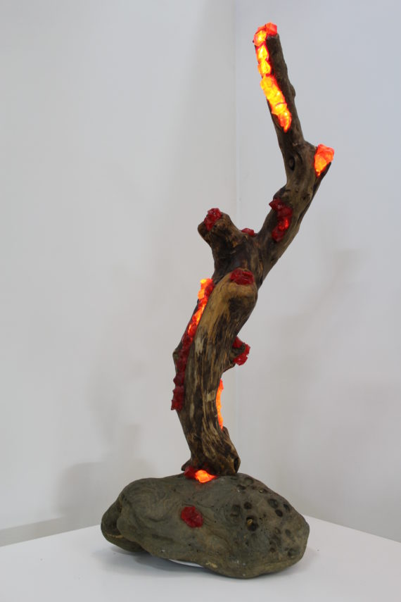 Linfa di corallo (2)