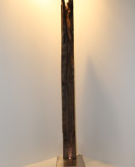 Luce nell’ombra (1)