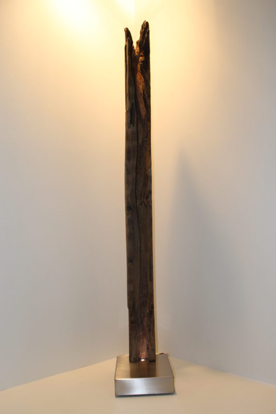 Luce nell’ombra (1)