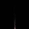 Luce nell’ombra