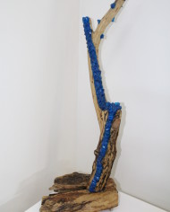 Rugiada (1)