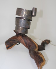 Sinuosità (1)