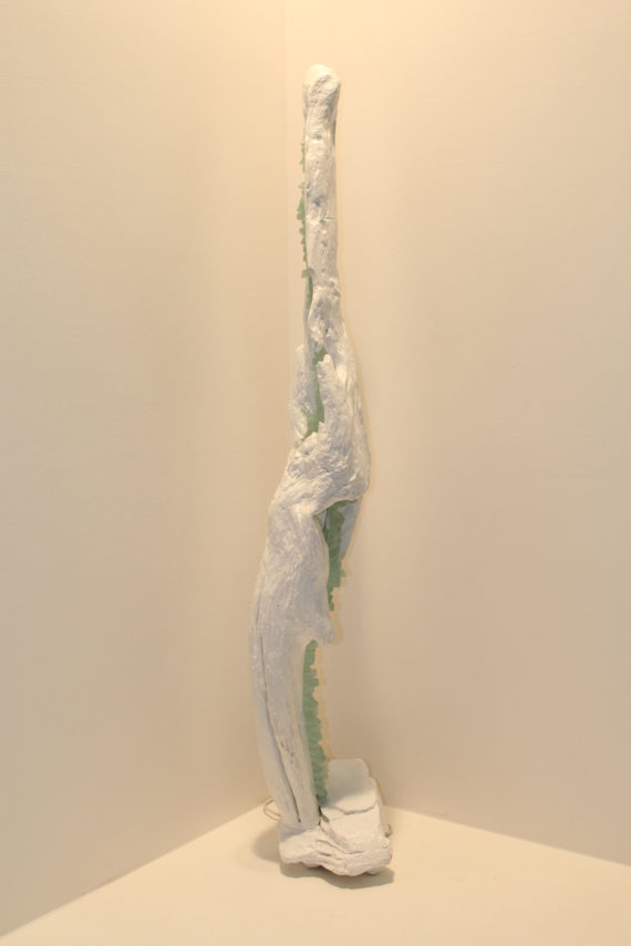 Spazio tempo (1)