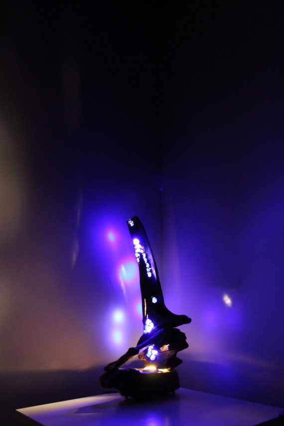Stelle nel vento (4)