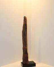 Trasparenze (1)
