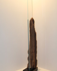 Trasparenze (2)