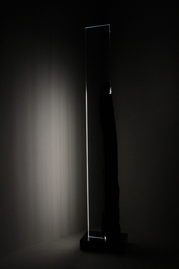 Trasparenze (3)