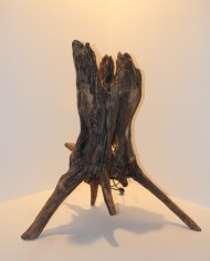 Umanità (1)